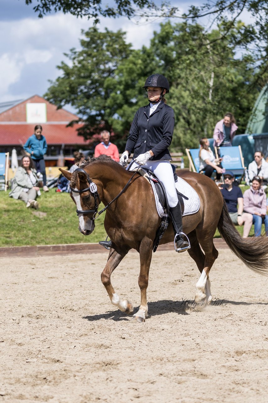 Bild 358 - Pony Akademie Turnier